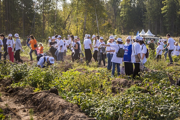 Более 25 тысяч жителей Одинцовского района приняли участие в областной акции «Наш лес. Посади свое дерево», Сентябрь