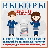Выборы в молодежный парламент