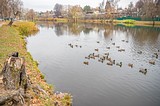 Рабочая группа проверит работу очистных сооружений у Немчиновского пруда