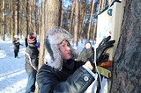 Одинцовский район дал старт областной акции «Покорми птиц»