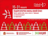 Областная акция «Подари вторую жизнь своей елке» стартовала в Одинцово