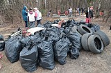 Субботник в Глазынинском лесу