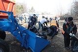 Субботник в Глазынинском лесу