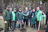 Комитет лесного хозяйства Московской области привел в порядок Подушкинский лес