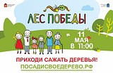 Одинцовский район примет участие в ежегодной экологической акции «Лес Победы»