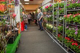В Одинцово открылась ярмарка «Ваша дача»