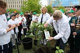 Звезды российской эстрады Максим Галкин и Анжелика Агурбаш присоединились к акции «Лес Победы» в Одинцово
