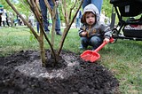 Фото: Более 18700 человек приняли участие в акции «Лес Победы» в Одинцовском городском округе