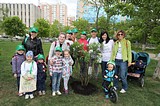 Фото: Более 18700 человек приняли участие в акции «Лес Победы» в Одинцовском городском округе