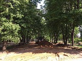 В конце июля в Звенигороде появится скейт-парк