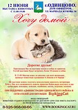 Благотворительная выставка кошек и собак из приютов «Хочу домой» пройдет в Одинцово 12 июня