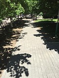 Фото: Работы по благоустройству ведутся в Звенигороде