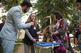 Порядка 50 животных прошли бесплатную вакцинацию против бешенства