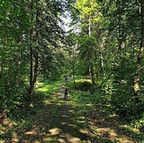 У мемориала «Бронзовый солдат» в Звенигороде прошёл субботник