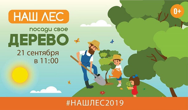 Порядка 28 тысяч деревьев высадят в Одинцовском городском округе участники акции «Наш лес. Посади своё дерево 2019», Сентябрь