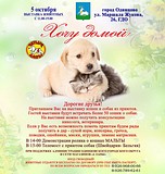 Благотворительная выставка «Хочу домой» пройдет в Одинцово 5 октября
