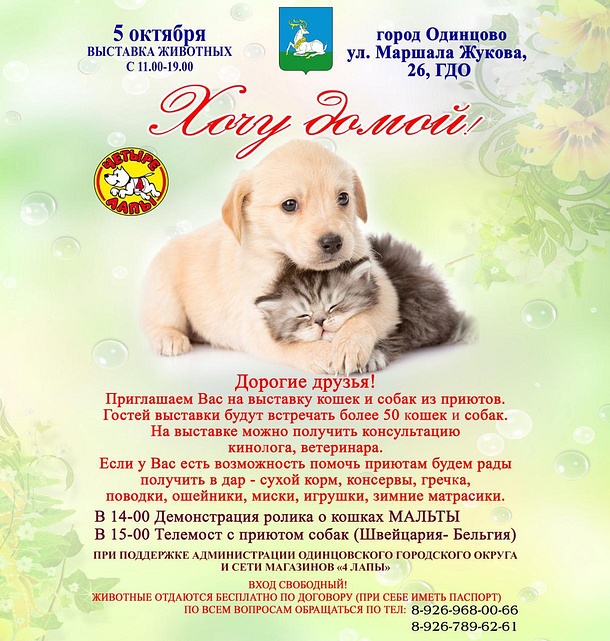 Благотворительная выставка «Хочу домой» пройдет в Одинцово 5 октября, Сентябрь