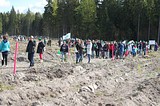 Экологическая акции «Наш лес» в деревне Хлюпино собрала более 3000 человек
