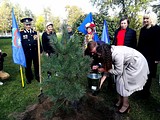 Одинцовские единороссы присоединились к акции «Наш лес. Посади свое дерево»