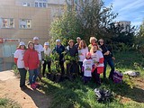Более 500 человек приняли участие в акции «Наш лес. Посади свое дерево» в Звенигороде