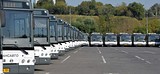 Бесплатные автобусы для участников акции «Наш лес» запустят в Одинцовском округе