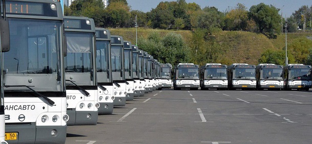 Бесплатные автобусы для участников акции «Наш лес» запустят в Одинцовском округе, Сентябрь