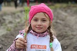 Свыше 26 000 человек приняли участие в акции «Наш лес» в Одинцовском городском округе
