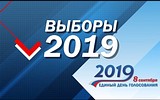 В Московской области завершилось голосование на выборах в советы депутатов