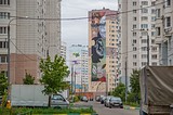 Президент России Владимир Путин поддержал идею расширения географии одинцовского опыта оформления жилых микрорайонов