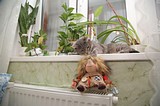 К 30 сентября на все объекты Одинцовского городского округа подали тепло