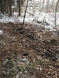 В Звенигороде приступили к ликвидации стихийной свалки