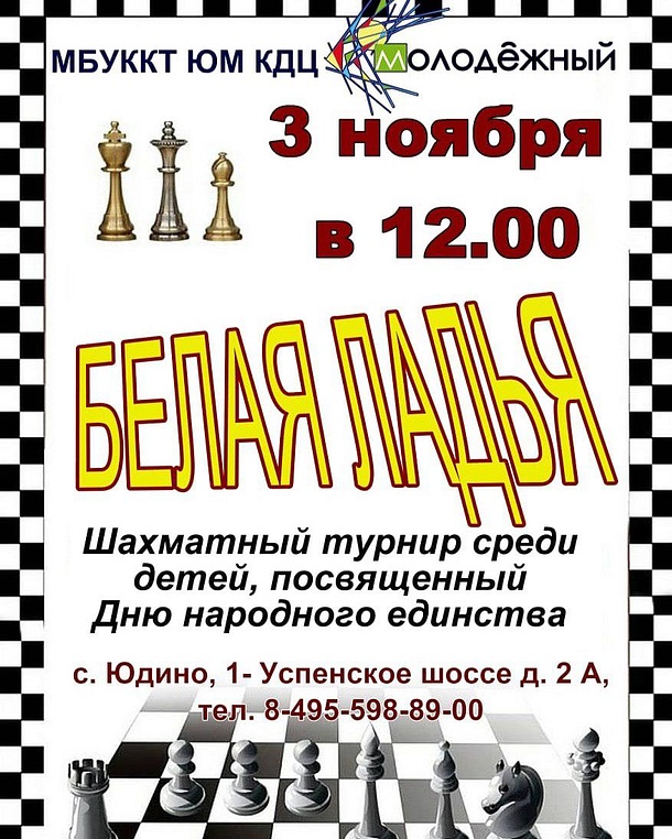 В Юдино пройдёт шахматный турнир среди детей, посвящённый Дню народного единства, Афиша