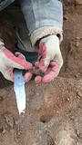 Останки двух солдат Красной Армии обнаружили в Одинцовском округе