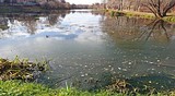 Около 4000 кубических метров мусора было вывезено с берегов реки Вязёмки