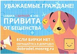Обращение к жителям и гостям Одинцовского городского округа
