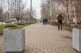 В Одинцово по просьбам жителей ликвидирована стихийная парковка на тротуаре