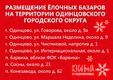 На территории Одинцовского округа 20 декабря откроются ёлочные базары.