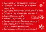 На территории Одинцовского округа 20 декабря откроются ёлочные базары.