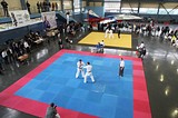 Сторонники партии помогли организовать фестиваль единоборств в Кубинке