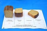 Молодежь Подмосковья проведет масштабную региональную акцию