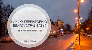 Территорию развития в Звенигороде выберут с помощью голосования