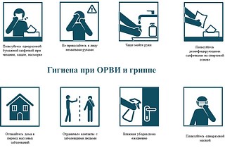 Гигиена при гриппе, коронавирусной инфекции и других орви
