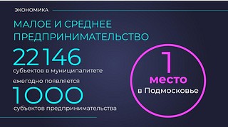 До 20 миллионов рублей увеличивает Одинцовский округ субсидий для бизнеса в 2020 году