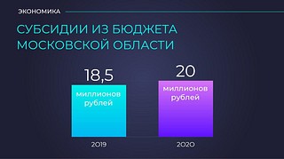 До 20 миллионов рублей увеличивает Одинцовский округ субсидий для бизнеса в 2020 году