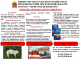 Африканская чума свиней! Министерство сельского хозяйства и продовольствия Московской области предупреждает!