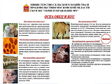 Оспа овец и коз. Министерство сельского хозяйства и продовольствия Московской области предупреждает!