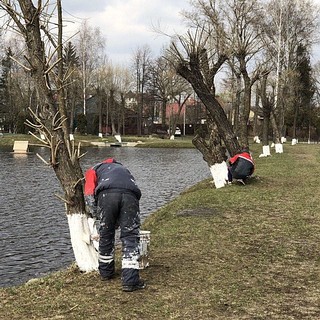 Волонтёры провели субботник у мемориала в деревне Солманово