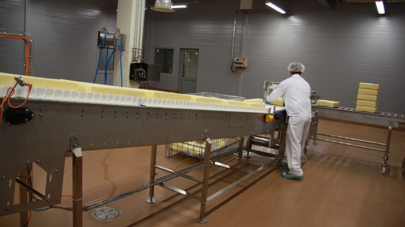 Новую линейку сыров начали выпускать в филиале «Ершово» компании «Валио» в Одинцовском округе, Апрель
