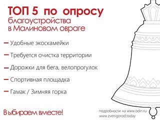 В Звенигороде создан новый сайт www.zvenigorod.today