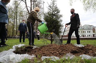 Более 80 деревьев высадили в рамках акции «Сад Памяти» в Одинцовского округе